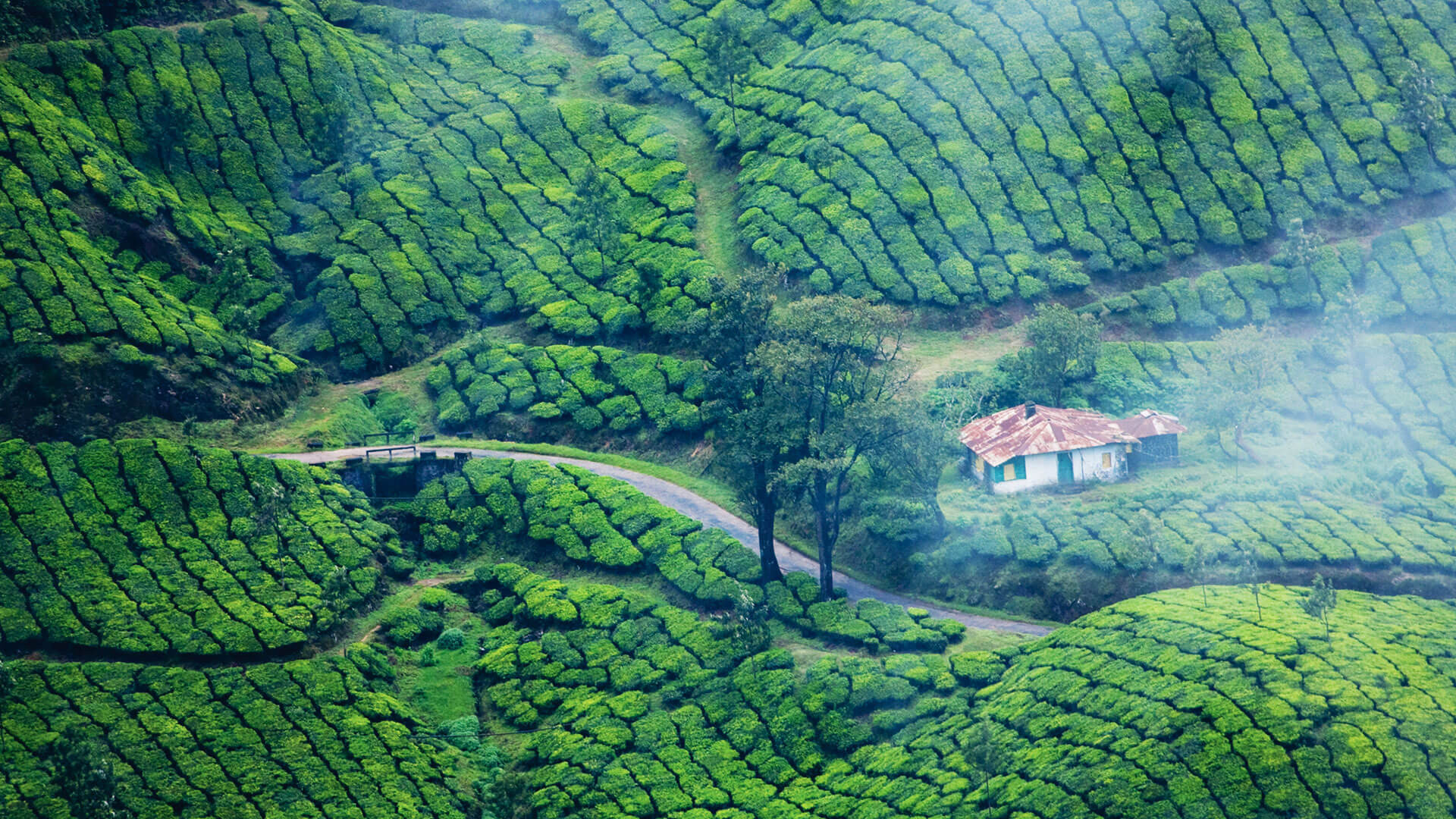 Kerala