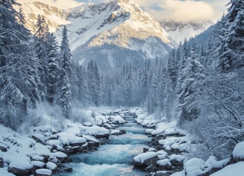Manali in Winter: Snow Adventure
