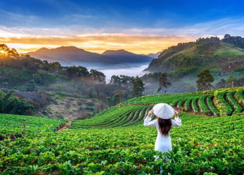 Explore Vietnam