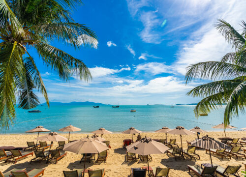 Top 5 Destinations You Must Visit in 2025