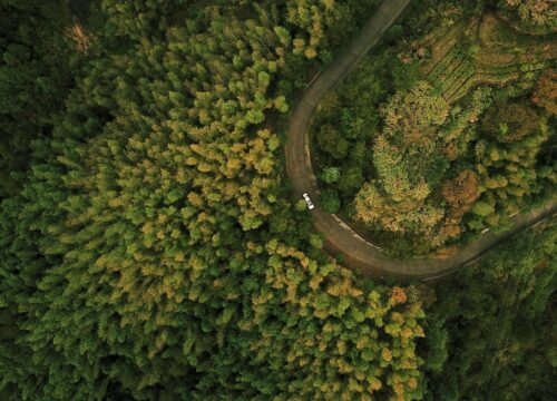 Seven Budget-Friendly Countries Indians Can Visit in 2026